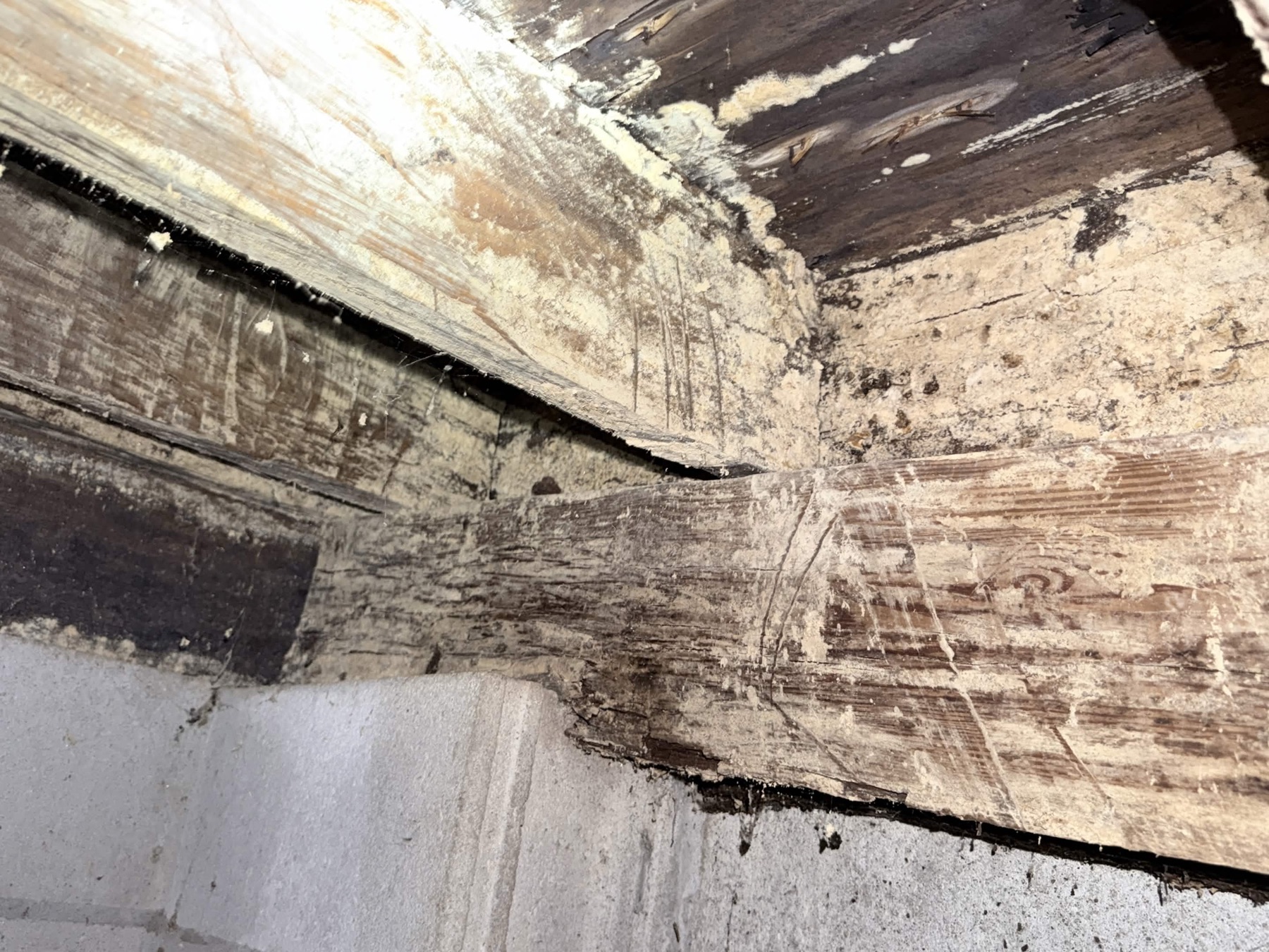 5701 Susquehanna Dr crawlspace