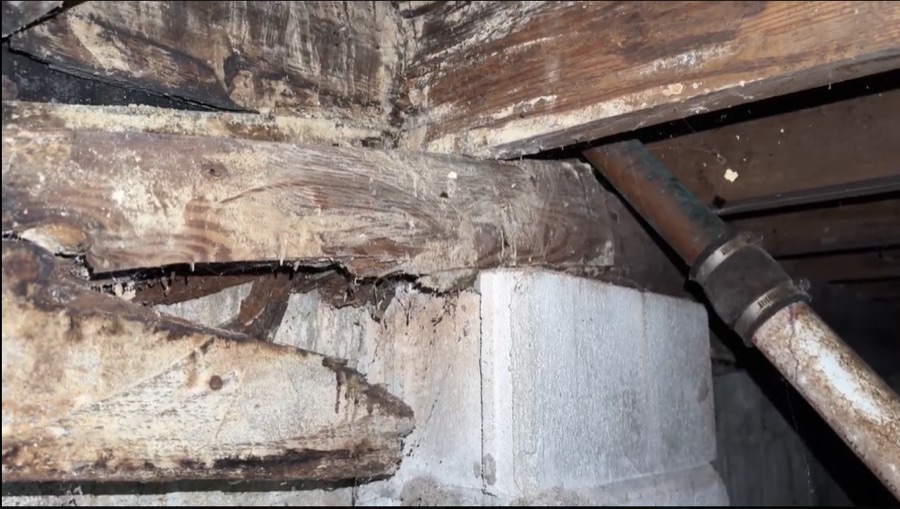 Watch inspection video